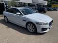 Jaguar XF 30d R-Sport  LEDER | SD | BI-XENON | PANORAMA Weiß - thumbnail 6