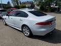 Jaguar XF 30d R-Sport  LEDER | SD | BI-XENON | PANORAMA Weiß - thumbnail 3
