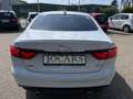 Jaguar XF 30d R-Sport  LEDER | SD | BI-XENON | PANORAMA Weiß - thumbnail 4