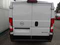 Opel Movano C Kasten L1H1 3,5t+7"Navi+Kamera+PDC Weiß - thumbnail 6
