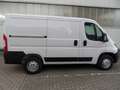 Opel Movano C Kasten L1H1 3,5t+7"Navi+Kamera+PDC Weiß - thumbnail 4