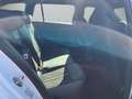 Skoda Octavia Combi RS DSG 2.0 TSI 195 kW RS Weiß - thumbnail 12