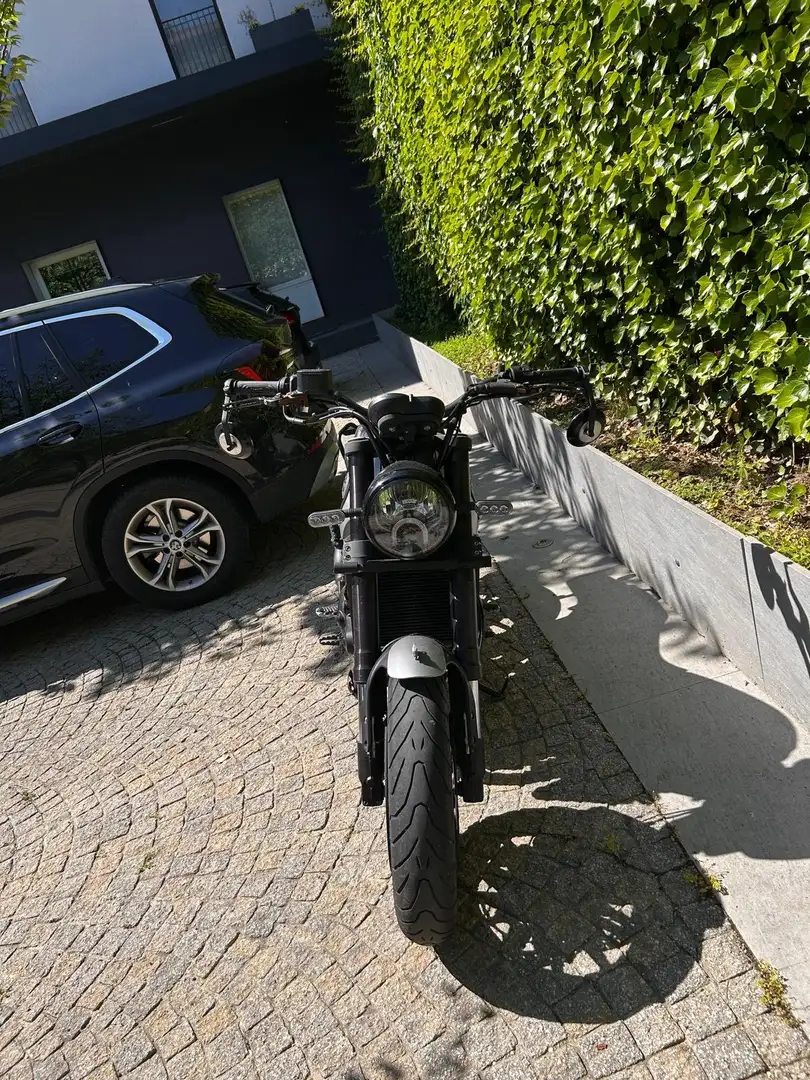 Benelli Leoncino 500 Argento - 2