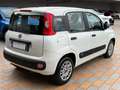 Fiat Panda New 1.2 69 cv. EasyPower EASY (Impianto GPL) Bianco - thumbnail 3