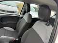 Fiat Panda New 1.2 69 cv. EasyPower EASY (Impianto GPL) Bianco - thumbnail 11