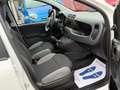 Fiat Panda New 1.2 69 cv. EasyPower EASY (Impianto GPL) Bianco - thumbnail 14