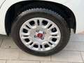 Fiat Panda New 1.2 69 cv. EasyPower EASY (Impianto GPL) Blanco - thumbnail 5