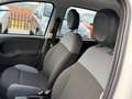 Fiat Panda New 1.2 69 cv. EasyPower EASY (Impianto GPL) Blanco - thumbnail 11