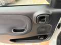 Fiat Panda New 1.2 69 cv. EasyPower EASY (Impianto GPL) Bianco - thumbnail 7