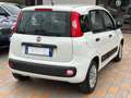 Fiat Panda New 1.2 69 cv. EasyPower EASY (Impianto GPL) Bianco - thumbnail 4