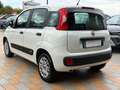 Fiat Panda New 1.2 69 cv. EasyPower EASY (Impianto GPL) Bianco - thumbnail 4