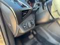 Ford Kuga TDCI 120 CV S&S 2WD Business Grijs - thumbnail 12