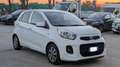 Kia Picanto GPL 1.0cc 68cv CRUISE CONTROL Bianco - thumbnail 3