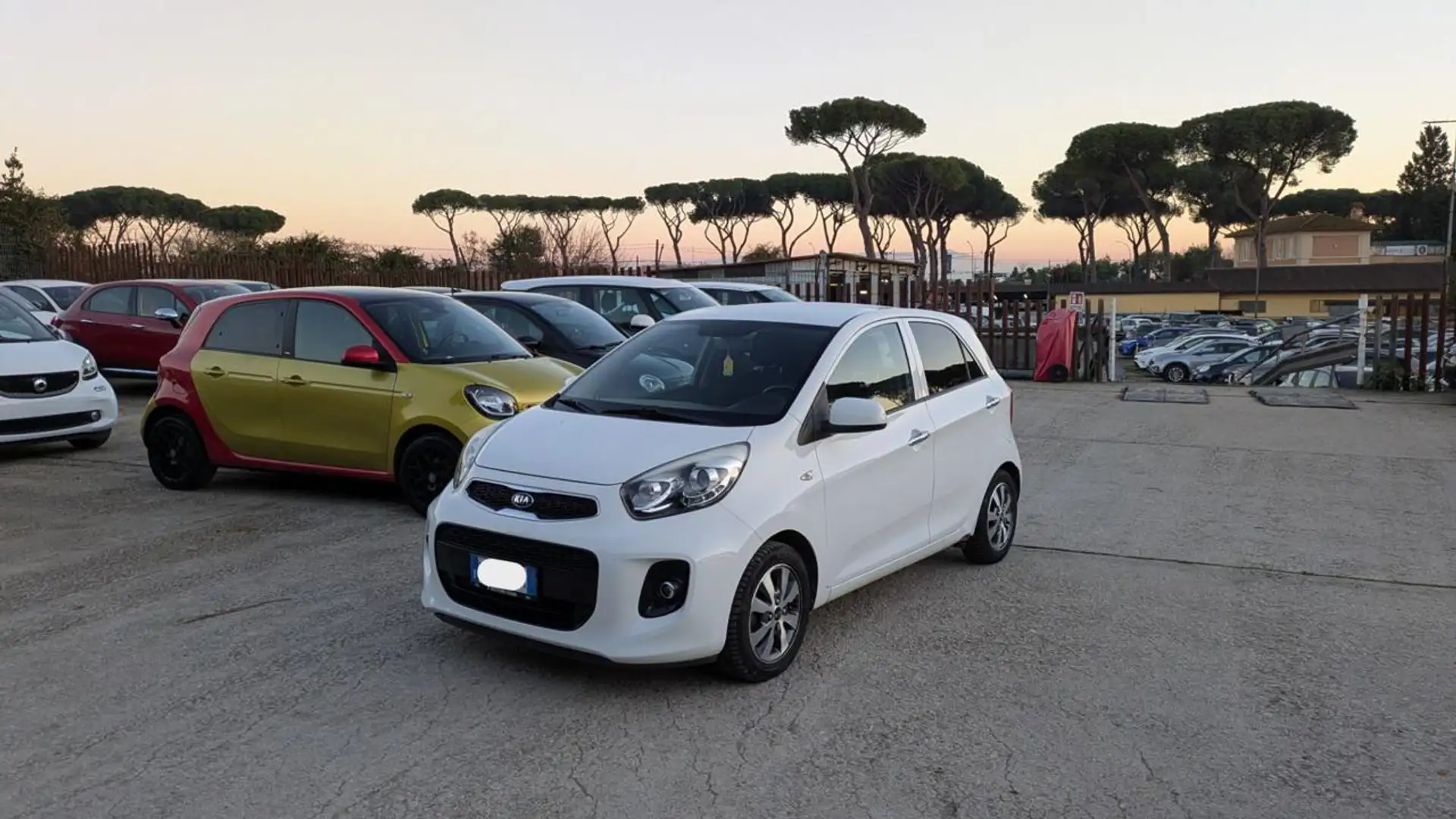 Kia Picanto GPL 1.0cc 68cv CRUISE CONTROL Bianco - 1