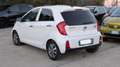 Kia Picanto GPL 1.0cc 68cv CRUISE CONTROL Bianco - thumbnail 5