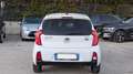 Kia Picanto GPL 1.0cc 68cv CRUISE CONTROL Bianco - thumbnail 13
