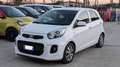 Kia Picanto GPL 1.0cc 68cv CRUISE CONTROL Bianco - thumbnail 2