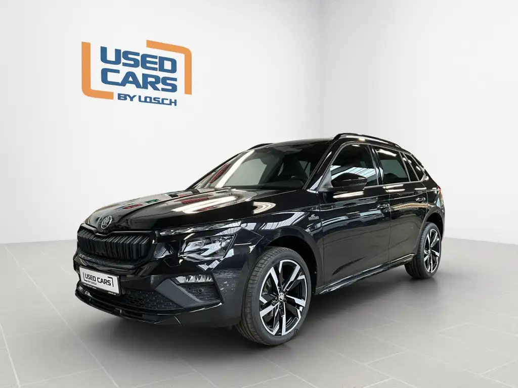 Skoda Kamiq 2024 из Европы — купить под ключ