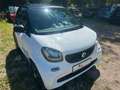 smart forTwo fortwo coupe  52kW Blanc - thumbnail 3