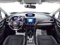 Subaru Forester V - Forester 2.0i e-boxer Style lineartronic Grigio - thumbnail 15