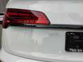 Audi Q5 40 TFSI qu. S line S tronic *NAV+* Weiß - thumbnail 9