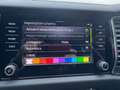 Skoda Kodiaq Kodiaq 2.0 tdi evo Style 4x4 200cv dsg Gris - thumbnail 21