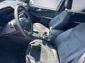 Ford Kuga 2.5 PHEV ST-Line X #AHK #20" Felgen #ACC Grigio - thumbnail 8