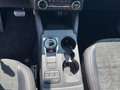 Ford Kuga 2.5 PHEV ST-Line X #AHK #20" Felgen #ACC Grigio - thumbnail 13