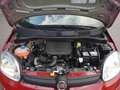 Fiat Panda Panda Pandina Mild Hybrid Rot - thumbnail 19