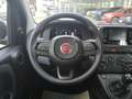 Fiat Panda Panda Pandina Mild Hybrid Rot - thumbnail 12