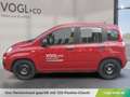 Fiat Panda Panda Pandina Mild Hybrid Rot - thumbnail 2
