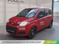 Fiat Panda Panda Pandina Mild Hybrid Rot - thumbnail 1