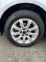 Volkswagen Polo 1.4 BENZINE+AUTOMAAT | 1 JAAR Grijs - thumbnail 20
