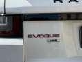 Land Rover Range Rover Evoque Land CABRIOLET 2.0 TD4 180 HSE DYNAMIC GARANTIE 12 MOIS Weiß - thumbnail 42