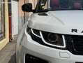 Land Rover Range Rover Evoque Land CABRIOLET 2.0 TD4 180 HSE DYNAMIC GARANTIE 12 MOIS Weiß - thumbnail 49