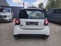 smart forTwo smart EQ fortwo Coupe 17,6kWh pasion Weiß - thumbnail 6