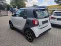 smart forTwo smart EQ fortwo Coupe 17,6kWh pasion Weiß - thumbnail 3