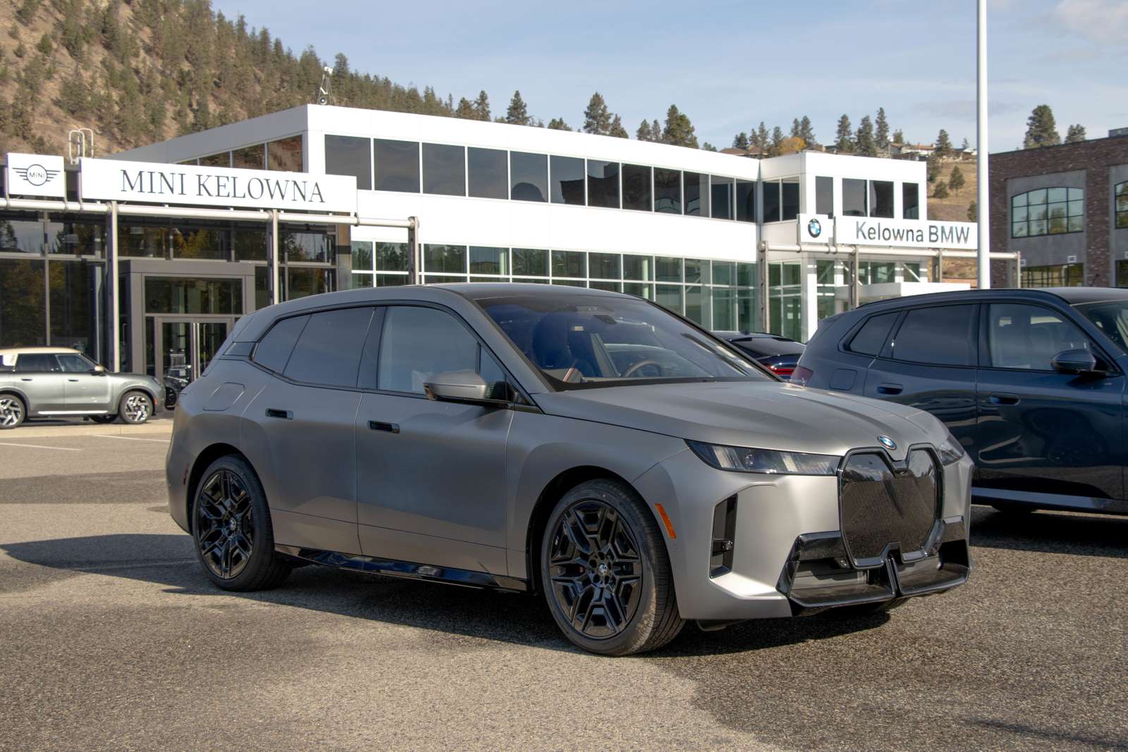 2026 BMW iX