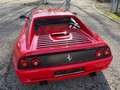 Ferrari F355 Berlinetta TRAUMZUSTAND Rot - thumbnail 5