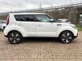 Kia Soul 1.6 CRDi Soul TELECAMERA CRUISE SENSORI PDC Bianco - thumbnail 4