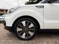 Kia Soul 1.6 CRDi Soul TELECAMERA CRUISE SENSORI PDC Bianco - thumbnail 12