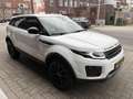 Land Rover Range Rover Evoque 2.0 eD4 NAVI/CAMERA/CLIMATE/CRUISE/TOPSTAAT Blanc - thumbnail 6