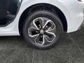 Skoda Kamiq 1.5 TSI Drive 125 DSG AHK LED ACC Blanco - thumbnail 12