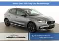 Skoda Fabia Selection 1.0 TSI 130 Jahre, LED, Kamera, Winte... Grau - thumbnail 1
