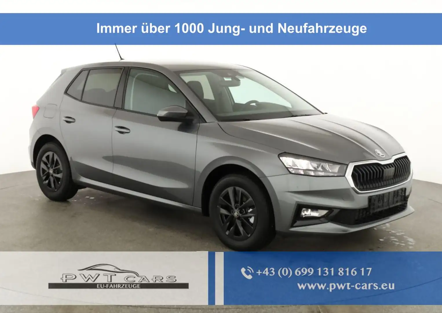 Skoda Fabia Selection 1.0 TSI 130 Jahre, LED, Kamera, Winte... Grau - 1