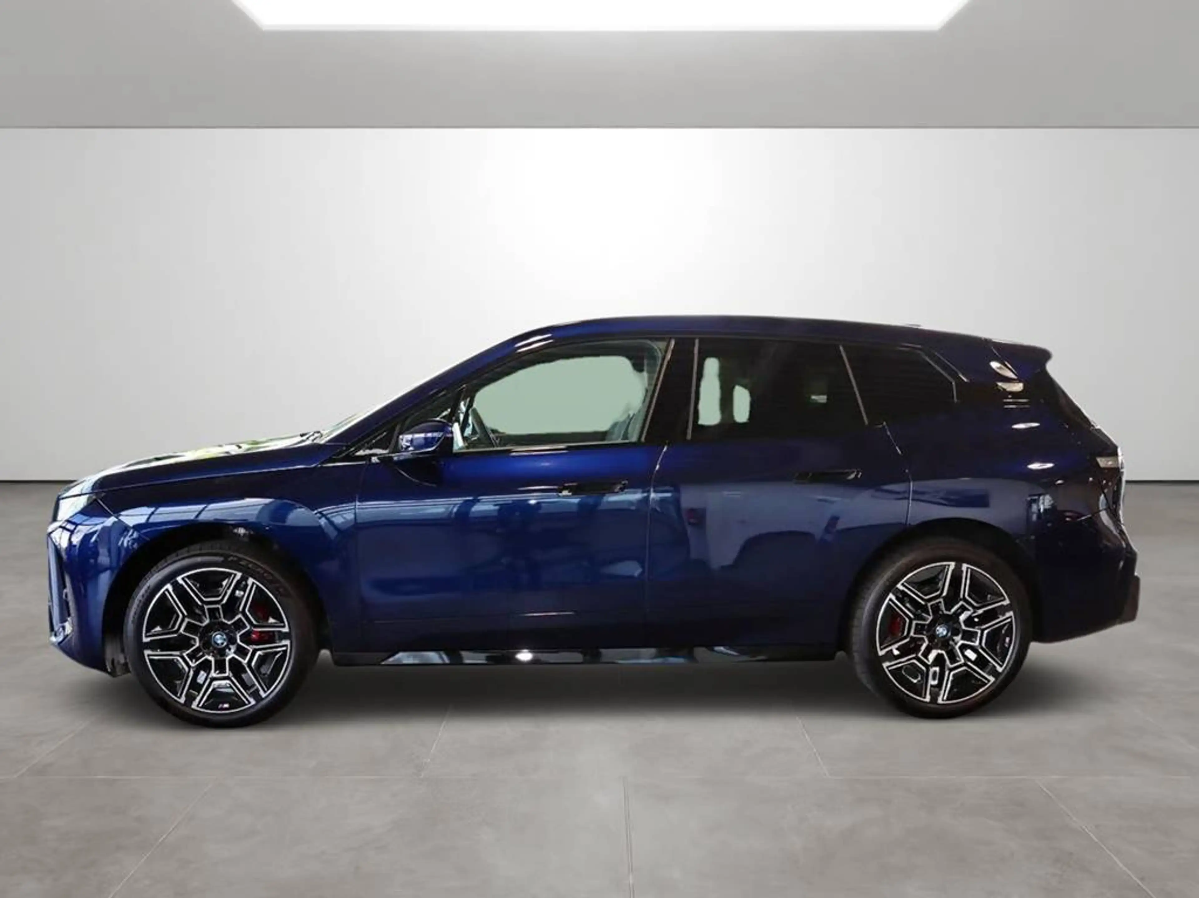 BMW iX xDrive45 M-Sport Pro Facelift — photo 4