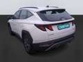 Hyundai TUCSON 1.6 CRDI 100kW (136CV) 48V Maxx Sky Blanco - thumbnail 7