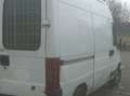 Fiat Ducato 11 243.3L3.0 C1A Bianco - thumbnail 1