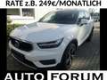 Volvo XC40 2.0 D3 R-DESIGN AUT LEDER AHK NAVI CAM SHZ Weiß - thumbnail 1