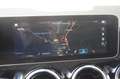 Mercedes-Benz B 160 Advantage CAMERA/LED KOPLAMPEN/NL AUTO Grau - thumbnail 18
